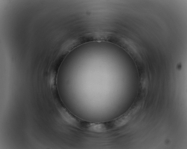 X0000101210185200807071347