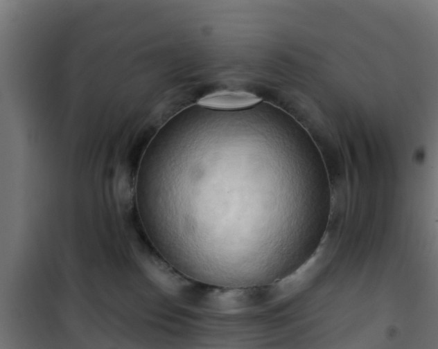 X0000101210186200807071347