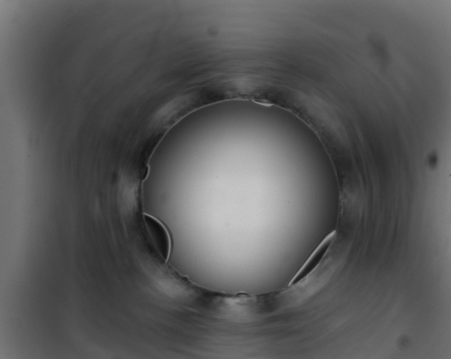 X0000101210188200807071347