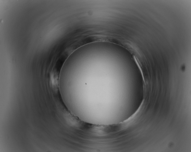 X0000101210190200807071347