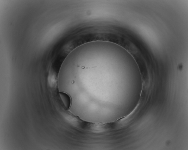 X0000101210191200807071347