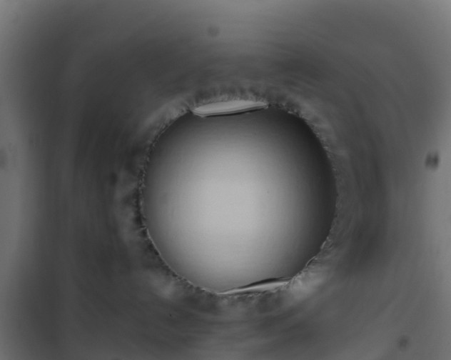 X0000101210192200807071347