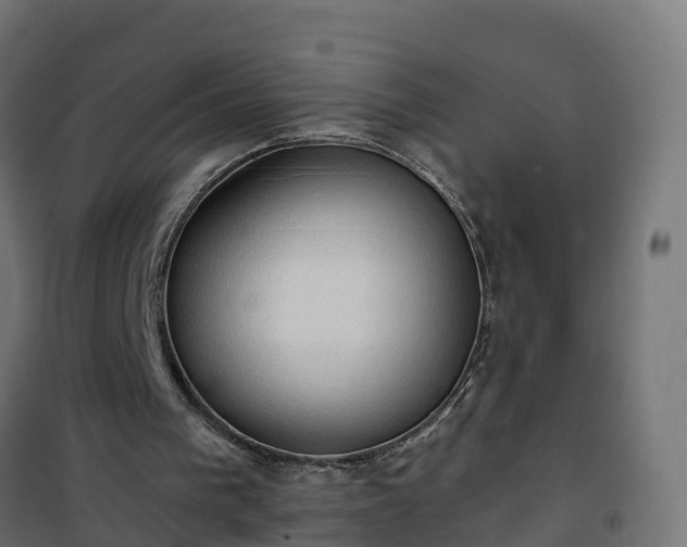 X0000101210193200807071347