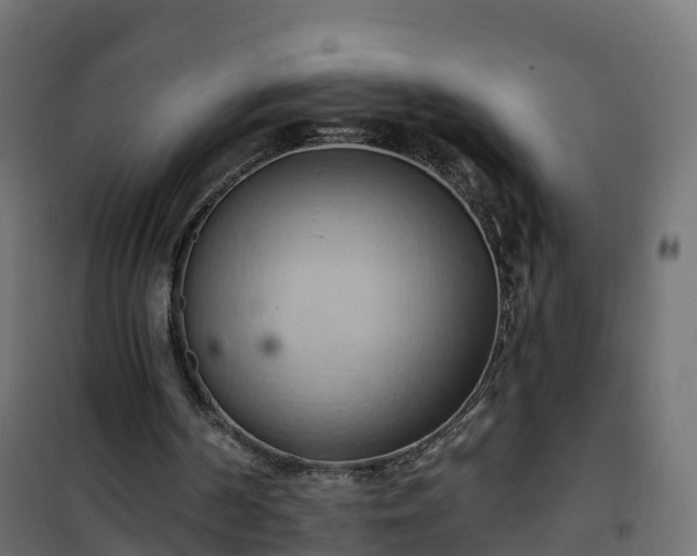 X0000101210194200807071347