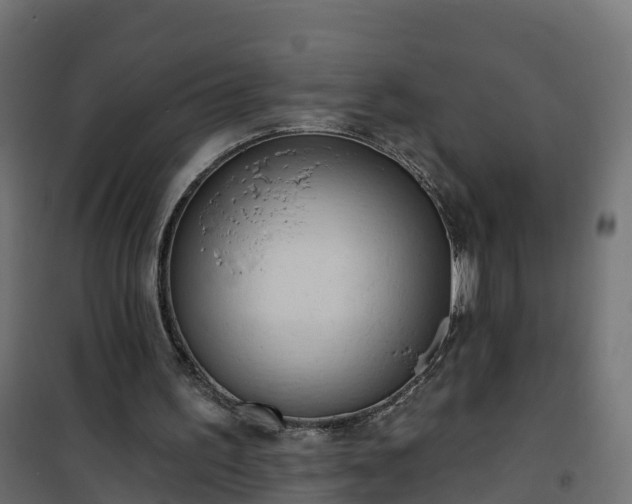 X0000101210195200807071347