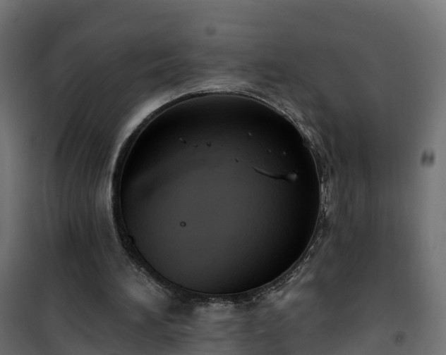 X0000101210196200807071347