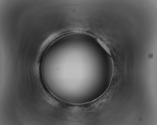 X0000101210197200807071347