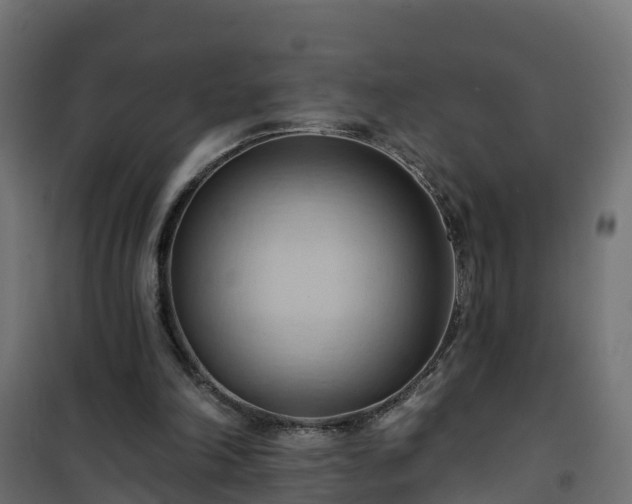 X0000101210198200807071347