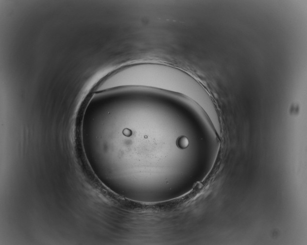 X0000101210200200807071347