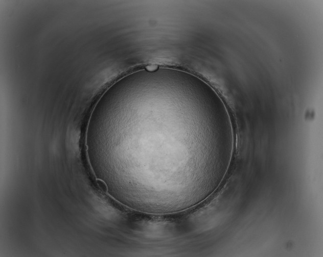 X0000101210201200807071347