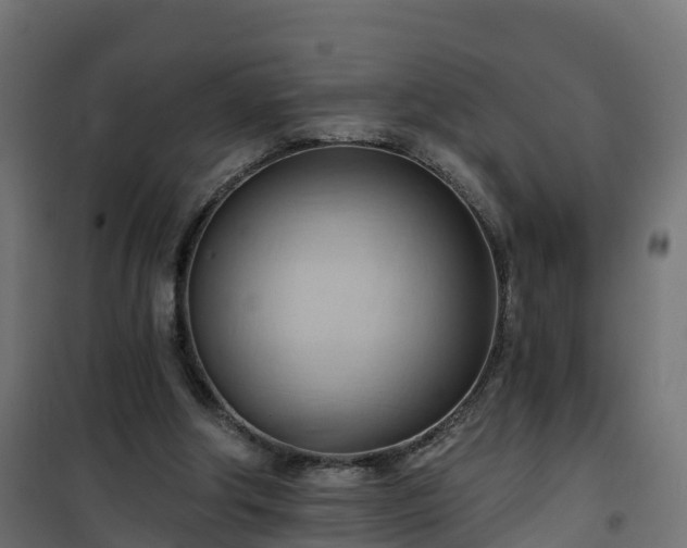 X0000101210202200807071347