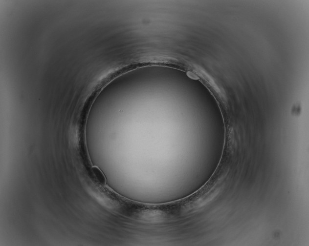 X0000101210203200807071347