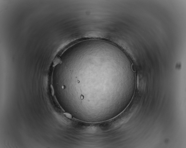 X0000101210204200807071347