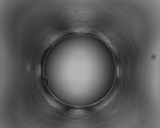 X0000101210205200807071347