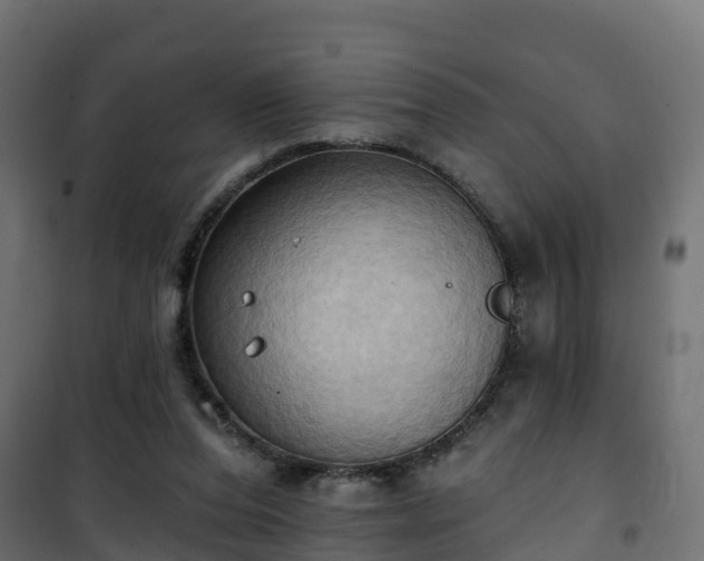 X0000101210208200807071347