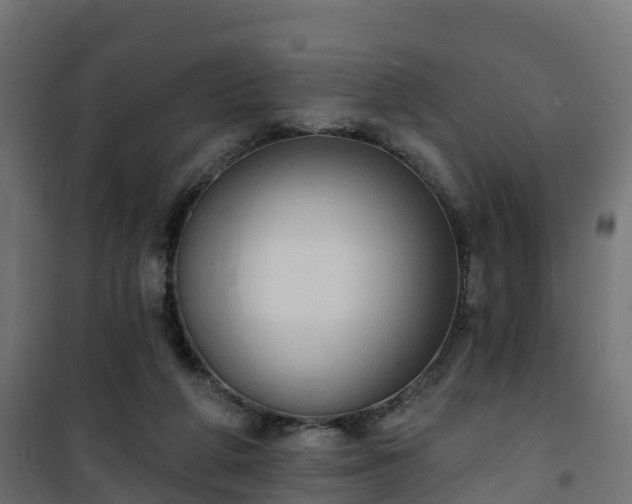 X0000101210210200807071347