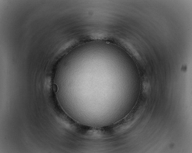 X0000101210211200807071347