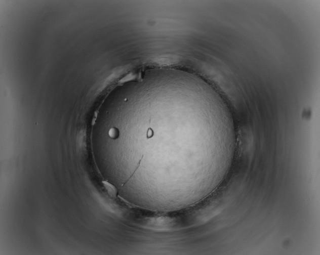 X0000101210212200807071346