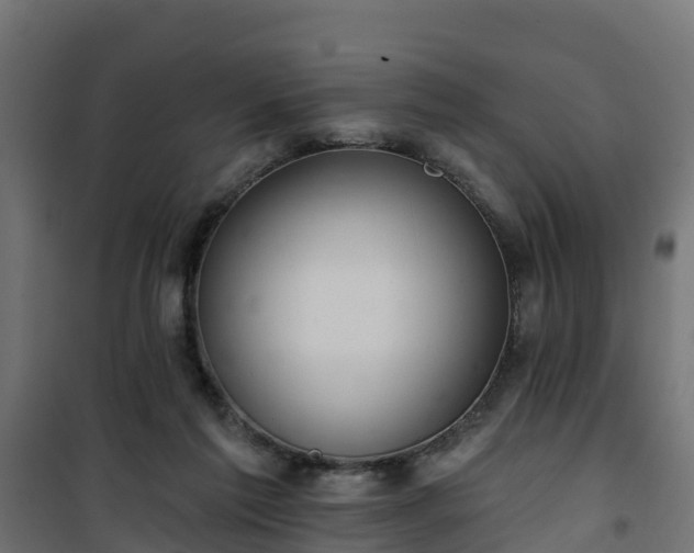 X0000101210213200807071346