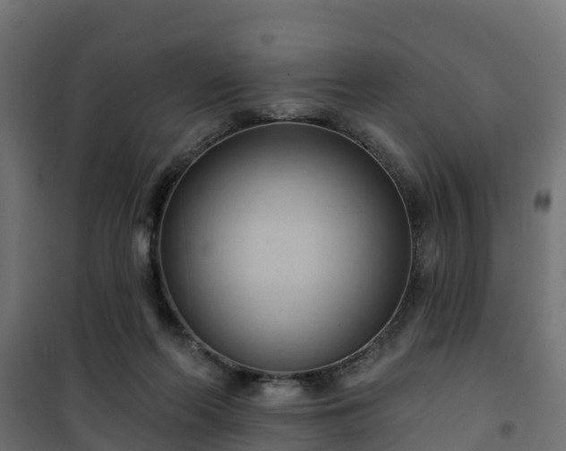 X0000101210214200807071346