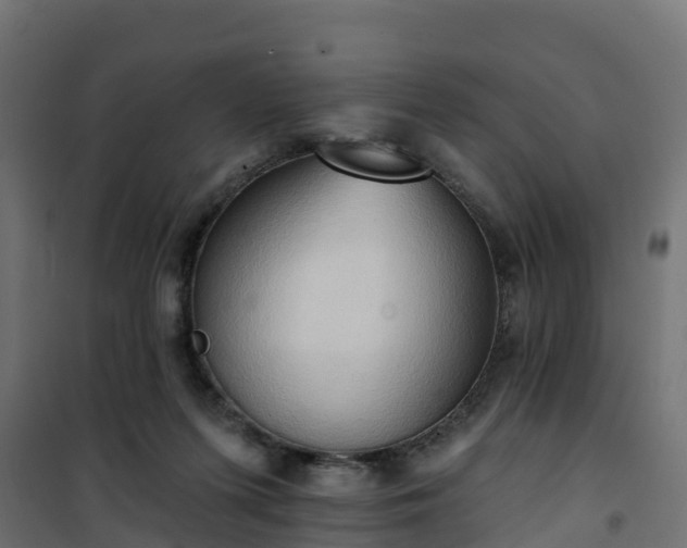 X0000101210215200807071346