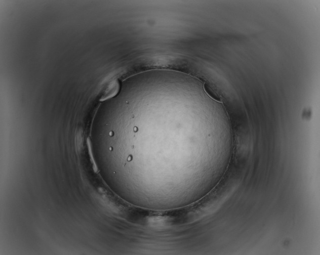 X0000101210216200807071346