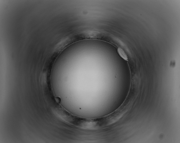 X0000101210217200807071346