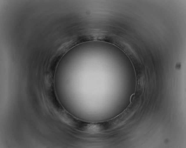 X0000101210218200807071346