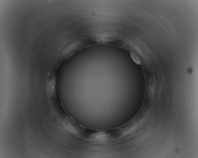 X0000101210219200807071346