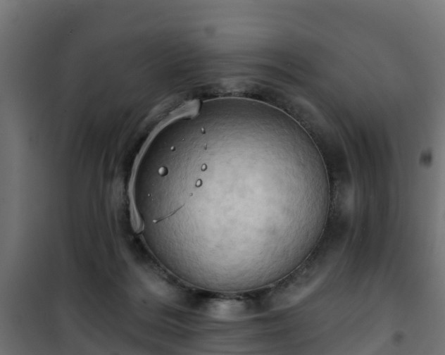 X0000101210220200807071346