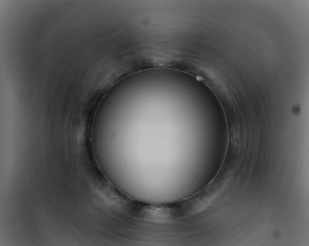 X0000101210221200807071346