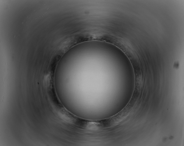 X0000101210222200807071346