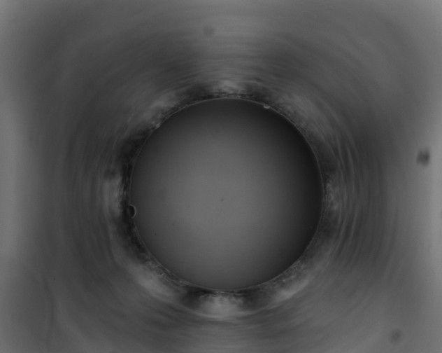 X0000101210223200807071346