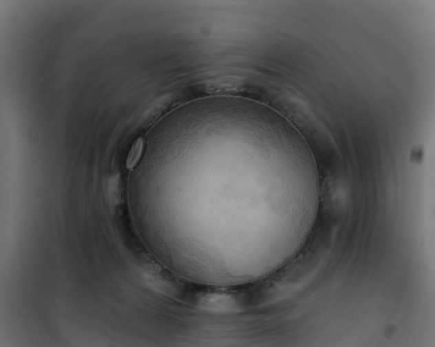 X0000101210224200807071346