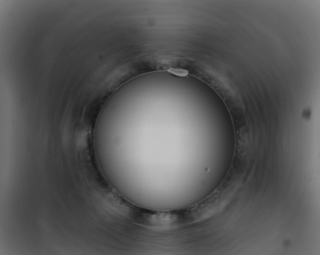 X0000101210225200807071346