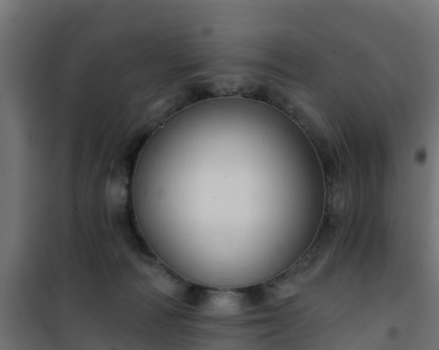 X0000101210226200807071346