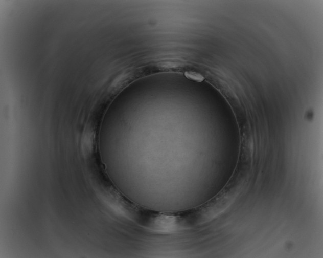 X0000101210227200807071346