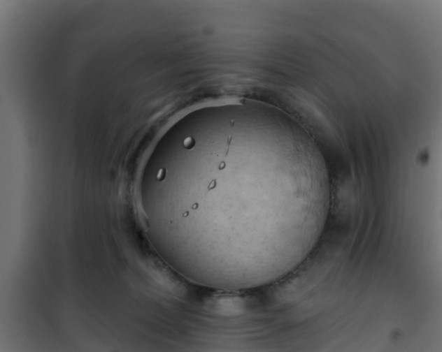 X0000101210228200807071346