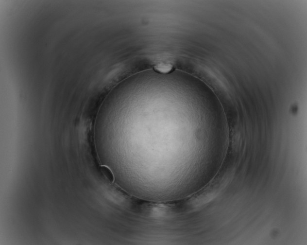 X0000101210229200807071346