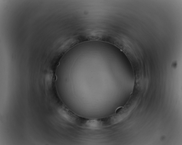 X0000101210231200807071346