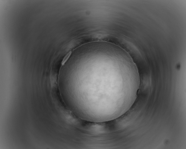 X0000101210236200807071346