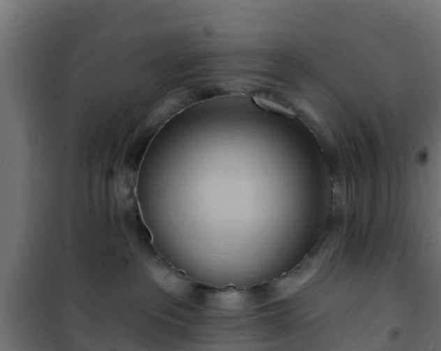 X0000101210237200807071346