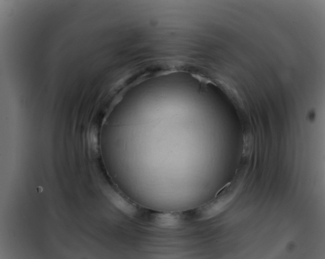 X0000101210238200807071346