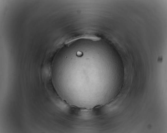 X0000101210240200807071346