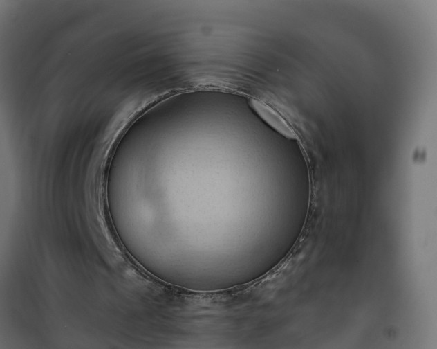 X0000101210241200807071345