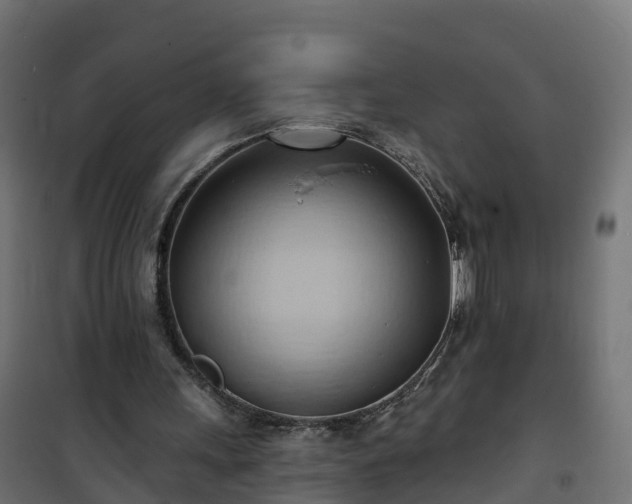 X0000101210243200807071345