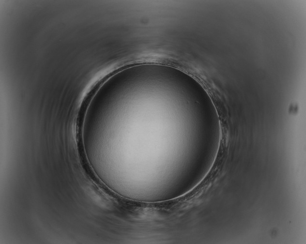 X0000101210244200807071345