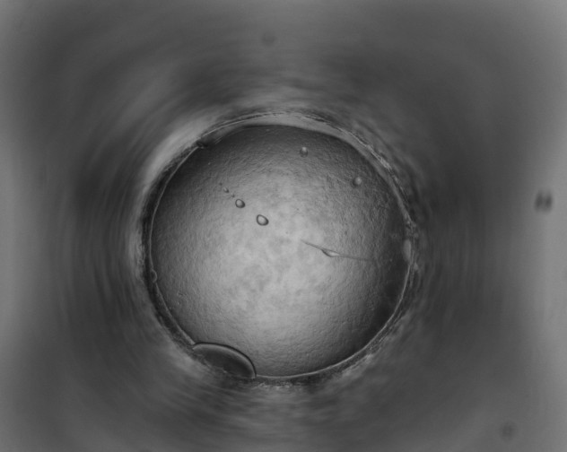 X0000101210245200807071345