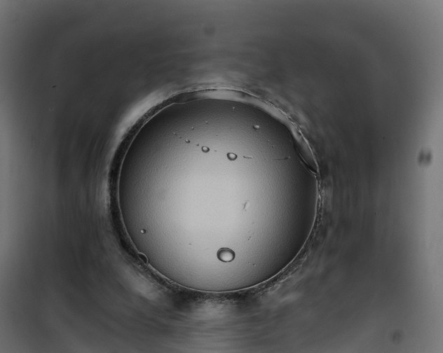 X0000101210248200807071346