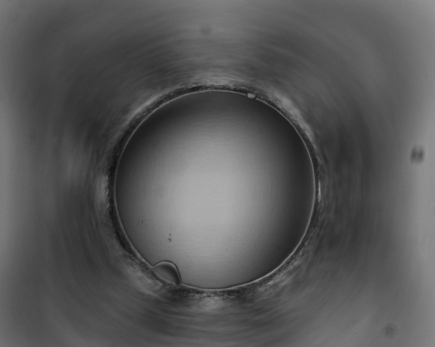 X0000101210249200807071346